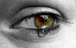 mes  yeux