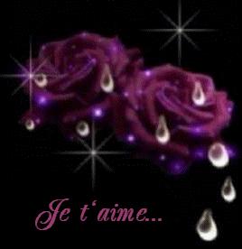 je t'aime imane
